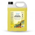 Detergente Desengraxante  Pine 